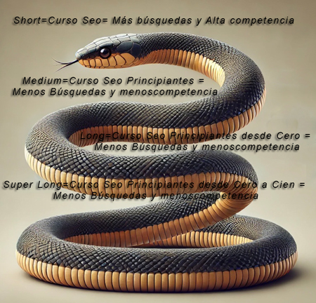 Ilustración de una serpiente enrollada que representa las palabras clave en marketing digital, desde las más cortas (short tail) hasta las más específicas y largas (super long tail). La serpiente simboliza cómo las palabras clave se extienden en longitud, con las más generales al principio y las más detalladas al final.